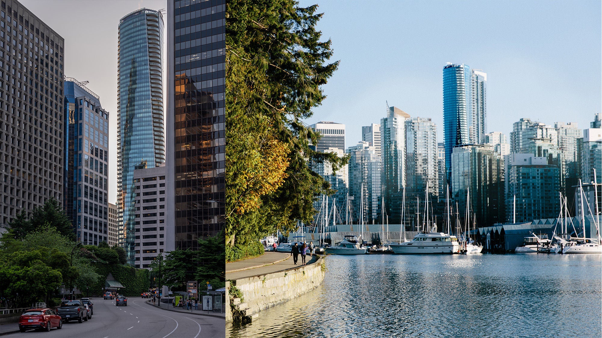 A scenic waterfront path lined with lush trees curves towards modern skyscrapers and a marina filled with sailboats. Cyclists and walkers enjoy the sunny day.